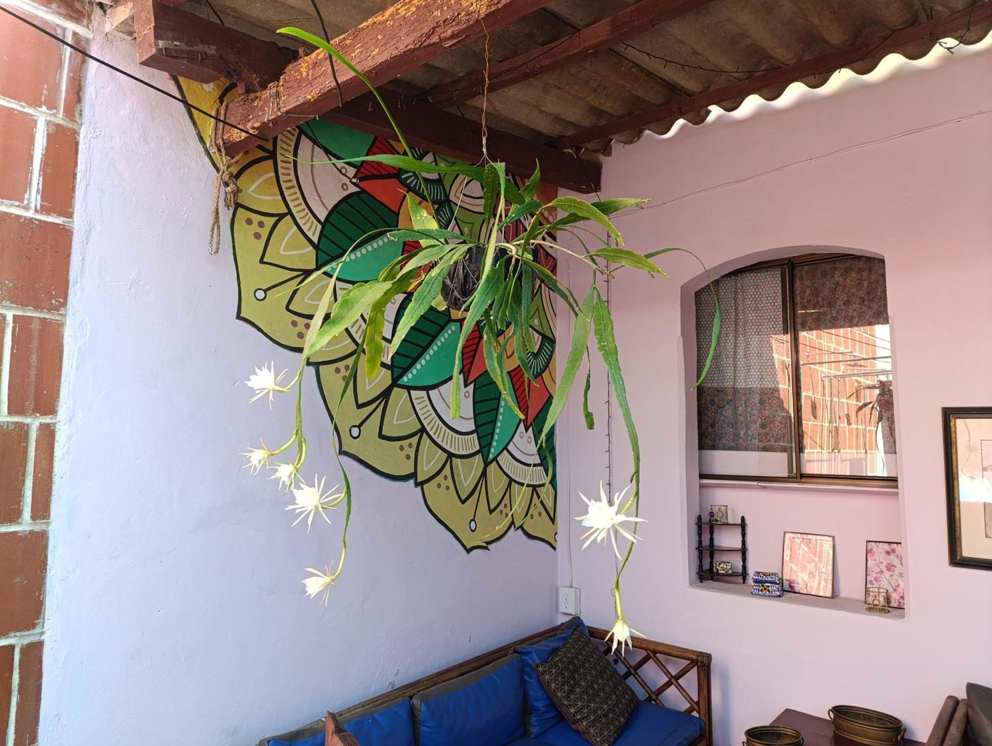Casa Vieja Guest House Santa Ana Extérieur photo